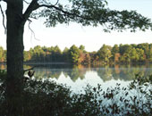 Scenic view of Tillinghast Pond